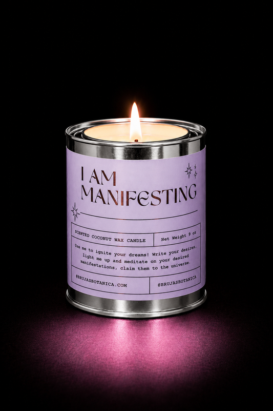 I AM MANIFESTING